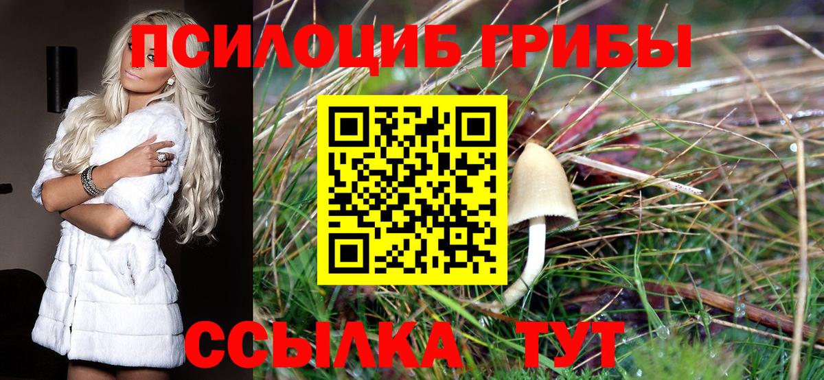 Псилоцибиновые грибы MAGIC MUSHROOMS  Вход с VPN  Заинск 